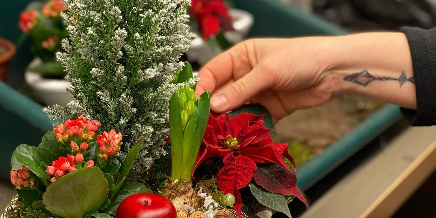 Julblommor