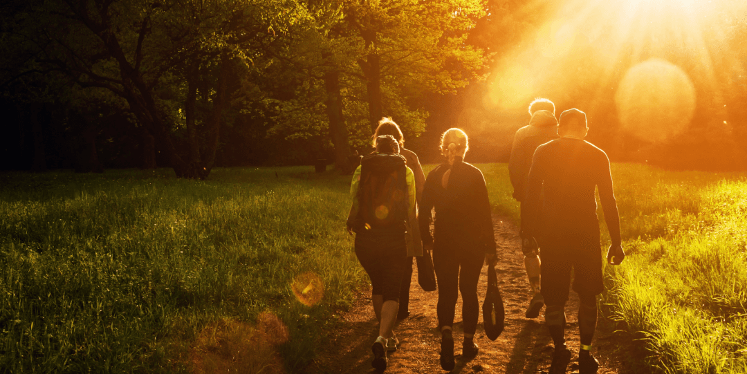 Promenad-i-skogen-4605516_1080x675